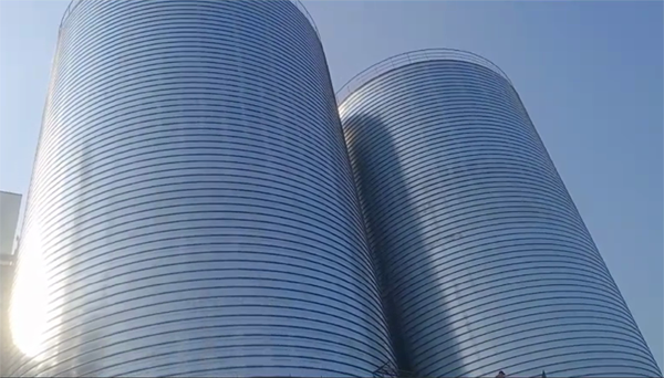 昂昂溪2座混凝土高架卷板仓